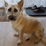 Adam Ernst - @adam.ernst.562 - Instagram