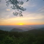 Adam Ervin - @tintree01 - Instagram