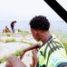 Adam Everton - Facebook