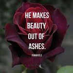 Adam Evenson - @adam_evenson - Instagram