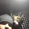 Adam Stevenson931 - @adamstevenson3536 - TikTok