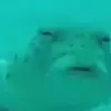 adam exe - @adam.exe35 - TikTok