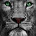 Adam Elking - Facebook