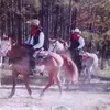 adamezell8 - @adamezell8 - TikTok
