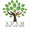 adam factory - @adam.factory - TikTok