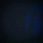 adam falloon - @adamfalloonlol - Instagram