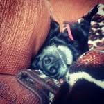 adam falloon - @fall9395 - Instagram