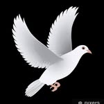 Adam Farag - @adamfarag70 - Instagram