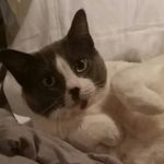 Adam Farber - @adamfarber72 - Instagram