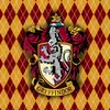 Gryffindor kid - @adamfarting - TikTok