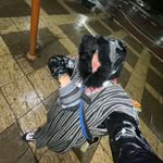 Adam Adam - @ada_m_fathi06 - Instagram