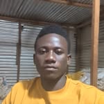 Adam Faustin - @adam.faustin - Instagram