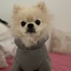 Adam_Firger - @adam_firger - TikTok