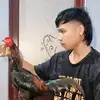 adamfighterr - @adamfighterr - TikTok