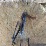 Adam feiner - @feineradam - Instagram