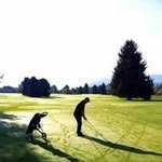 Adam Federman - @federmanadam - Instagram
