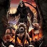 Adam Young - @adamferro343 - Instagram