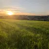 Adam Firth - @adam.firth - TikTok