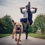 Adam Flack - @adamf2016 - Instagram