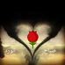 Adam Folkz - Facebook