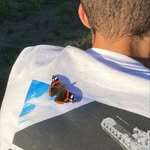 @adamfolkesson_ - Instagram
