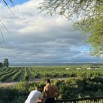 adam - @adamfredericks4 - Instagram
