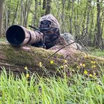 Adam Frederic - @wild_picture_fadm - Instagram