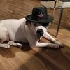 Adam Frederic - @adam.frederic5 - TikTok