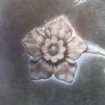 Adam Fuss - @adamfussstudio - Instagram
