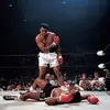 adamfulton753 - @famousvids88 - TikTok