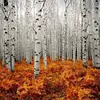 Adam Futter - @adam.futter - TikTok