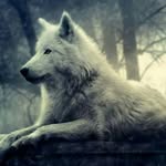 adam ganem - @ganem.adam - Instagram