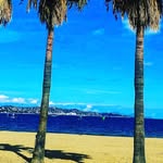 Adam.ganea - @adamganea04 - Instagram