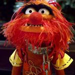 Adam Garvey - @adamgarvey - Instagram