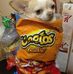 Adam Gazda - Facebook