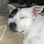 Adam Gingras - @adampgingras - Instagram