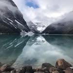 Adam Ginn - @addoginn - Instagram