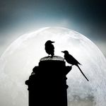 Adam Ginniver - @adamginniver - Instagram