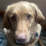 Adam Gladd - @adamgladd - Instagram