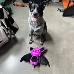 Adam Gander - Facebook