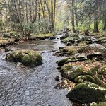 Adam Glazewski - @adam3786 - Instagram