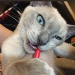 Adam Glomb - @adam.glomb.90 - Instagram
