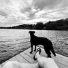 Adam Glover 2 - @adam.glover.2 - TikTok