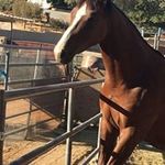 Adam Goad - @goad_adam - Instagram