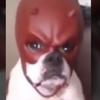 adam.goad1 - @adam.goad1 - TikTok