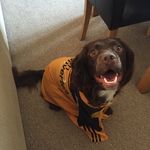 Adam Goddard - @adam.goddard23 - Instagram