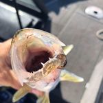 Adam Goff - @adam.goff.165 - Instagram