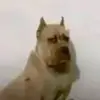 adamgoldberg67 - @adam.goldberg67 - TikTok