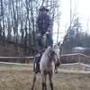 Adam Gorgey - @adam.gorgey - TikTok