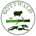 Adam Gottwald - Facebook